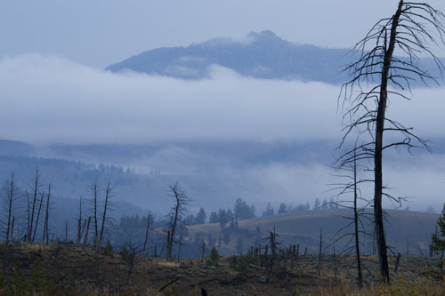 fog